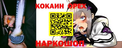 спиды Гатчина