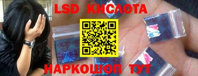 спиды Гатчина