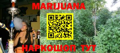 спиды Гатчина