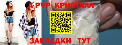 спиды Гатчина